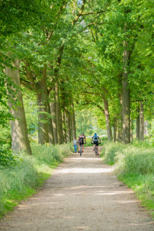 Wandelen bij Kasteelstad