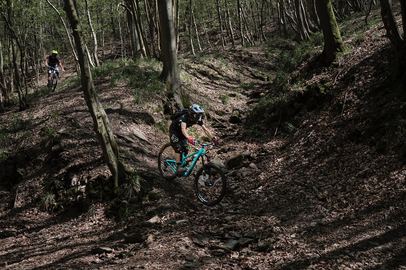 Mountainbiken door het bosrijke Montferland