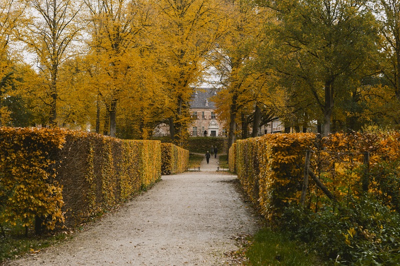 Parkbos de Plantage